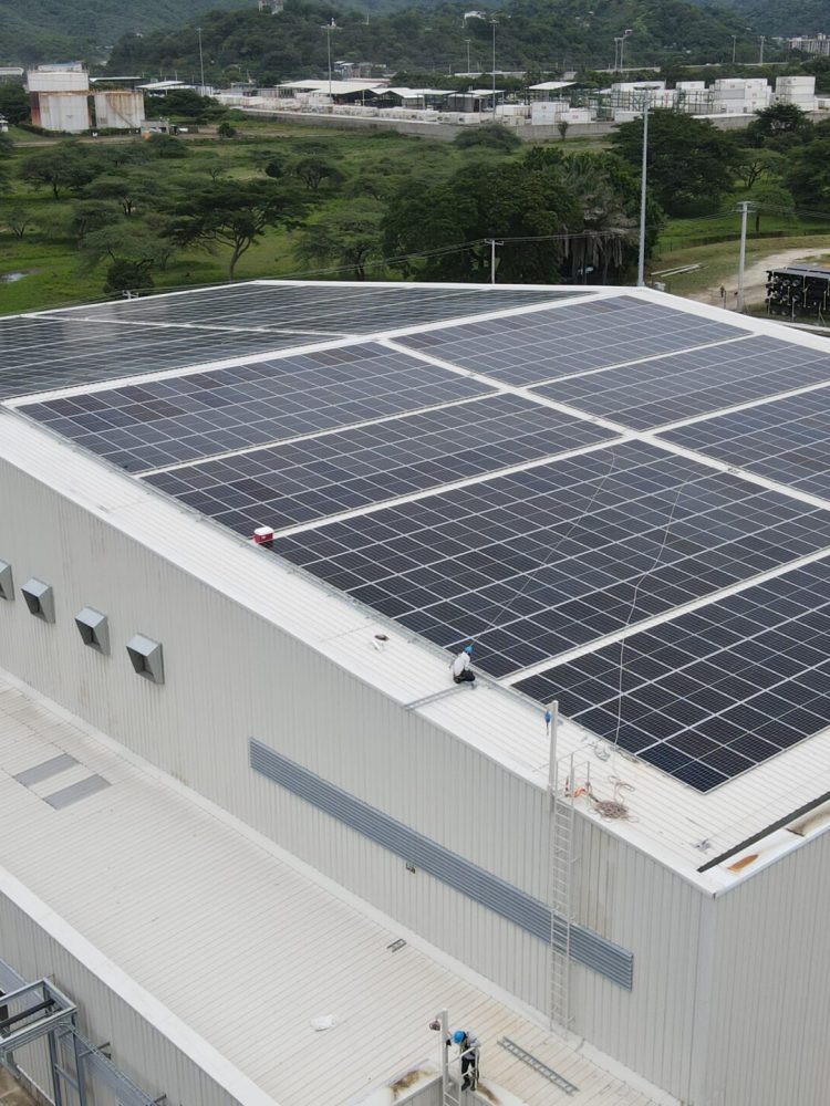 Paneles solares